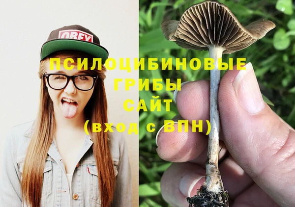 мескалин Богородск