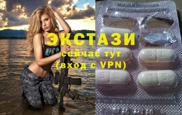 дмт Богданович