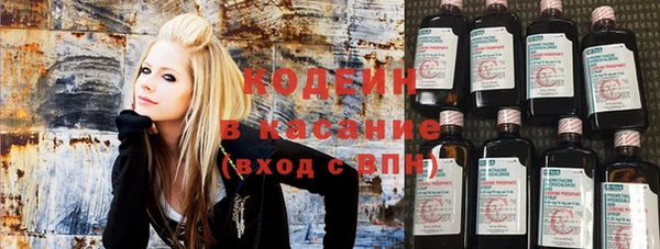 дмт Богданович