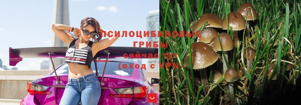мескалин Богородск