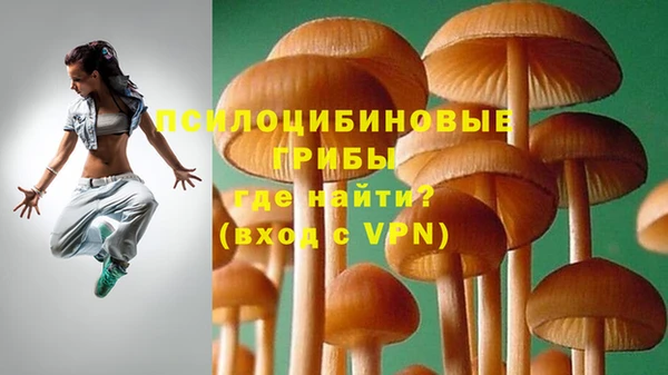 MESCALINE Бородино