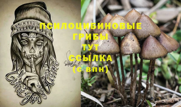 дурь Богородицк