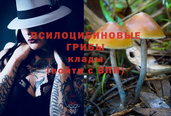 дмт Богданович