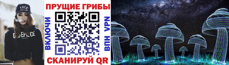 Галлюциногенные грибы мицелий  KRAKEN как войти  Великий Устюг 